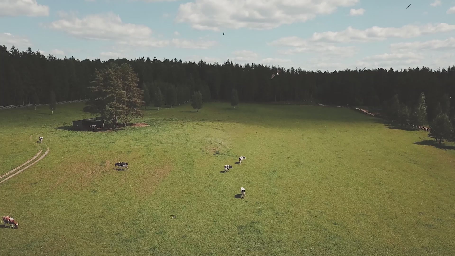 BiOHY sanitary cleaner, bathroom cleaner, limescale remover, bathroom cleaner